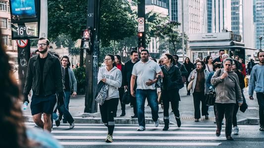 Understanding Your Demographic