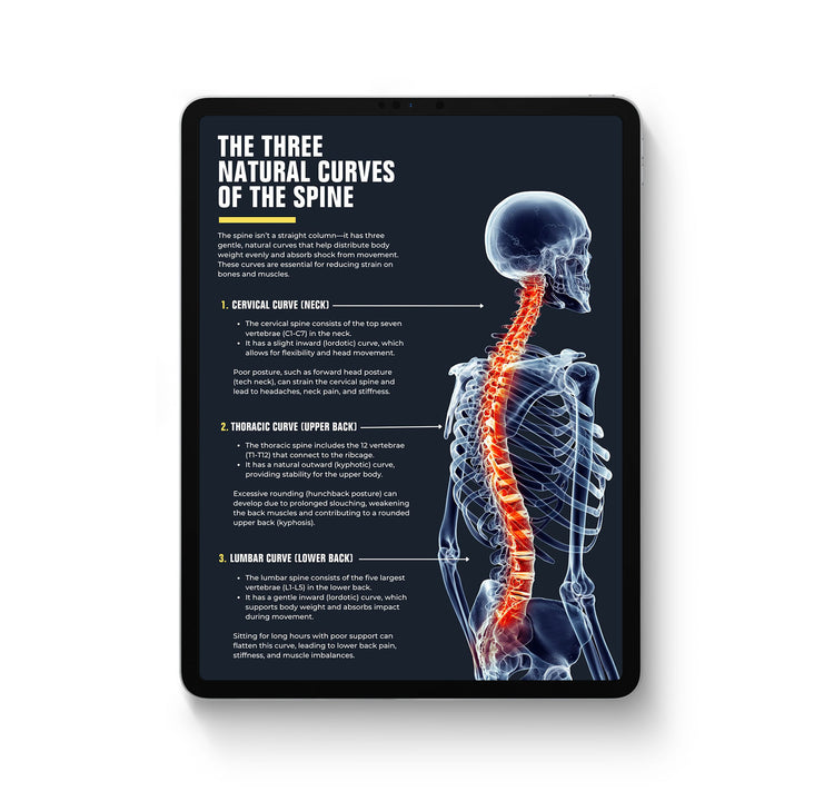 Guide to Posture: Why It Matters and How to Improve It