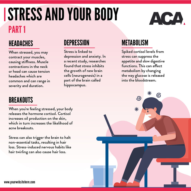 Health & Wellness Infographics Pack