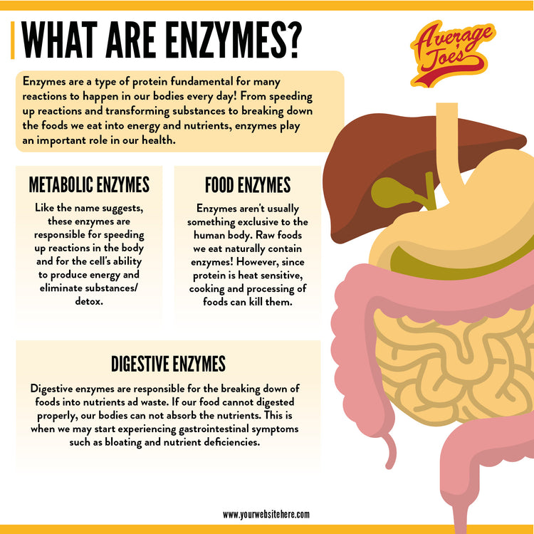 Health & Wellness Infographics Pack