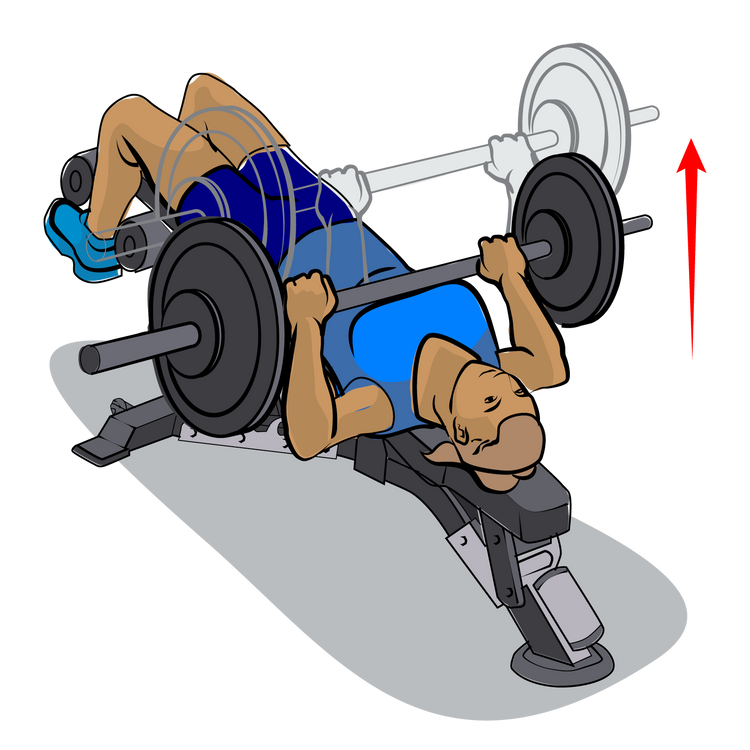 Custom Avatar Exercise Pack